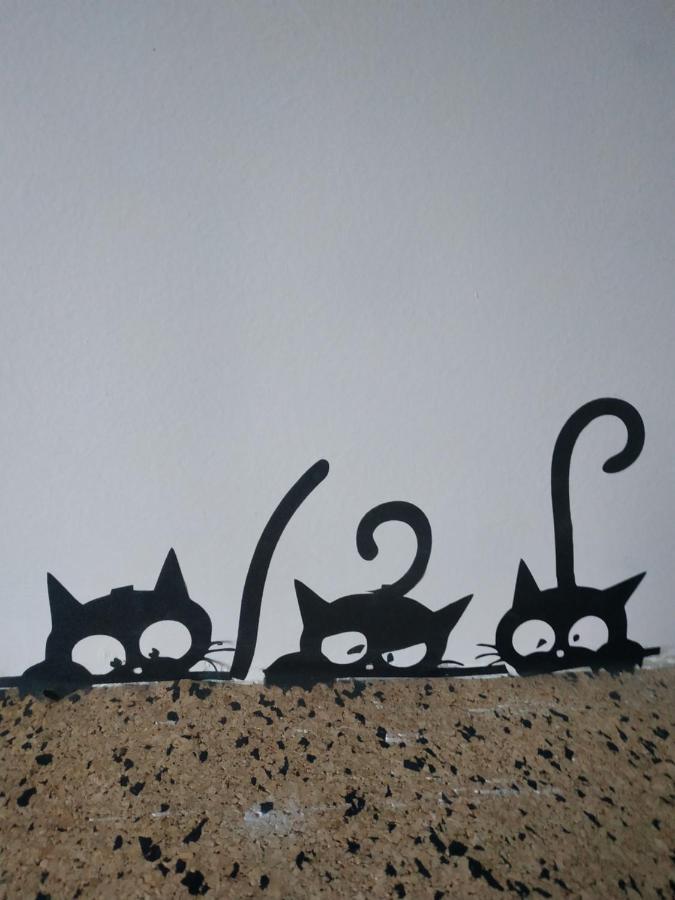Lucky Cat Hotel Nová Lesná Kültér fotó